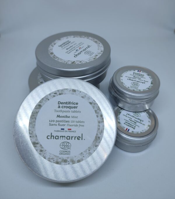 DENTIFRICE A CROQUER – Image 3